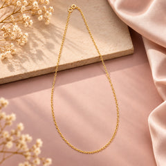 925 Sterling Silver Gold-Plated Chain with Spring Lock