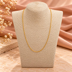 925 Sterling Silver Gold-Plated Chain with Spring Lock