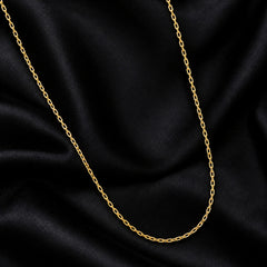 925 Sterling Silver Gold-Plated Chain with Spring Lock