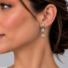 Aster- AD Zircon Silver Drop Earrings