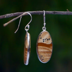 925 Silver Picture Jasper Gemstone Oval Drop Earrings