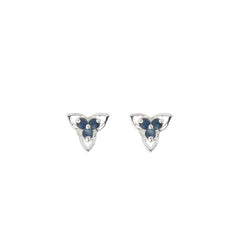 925 Silver Blue Sapphire Sterling Silver Eartops - Elegant Gemstone Jewelry, Timeless Design for Everyday Wear